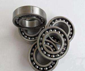 306TN Bearing